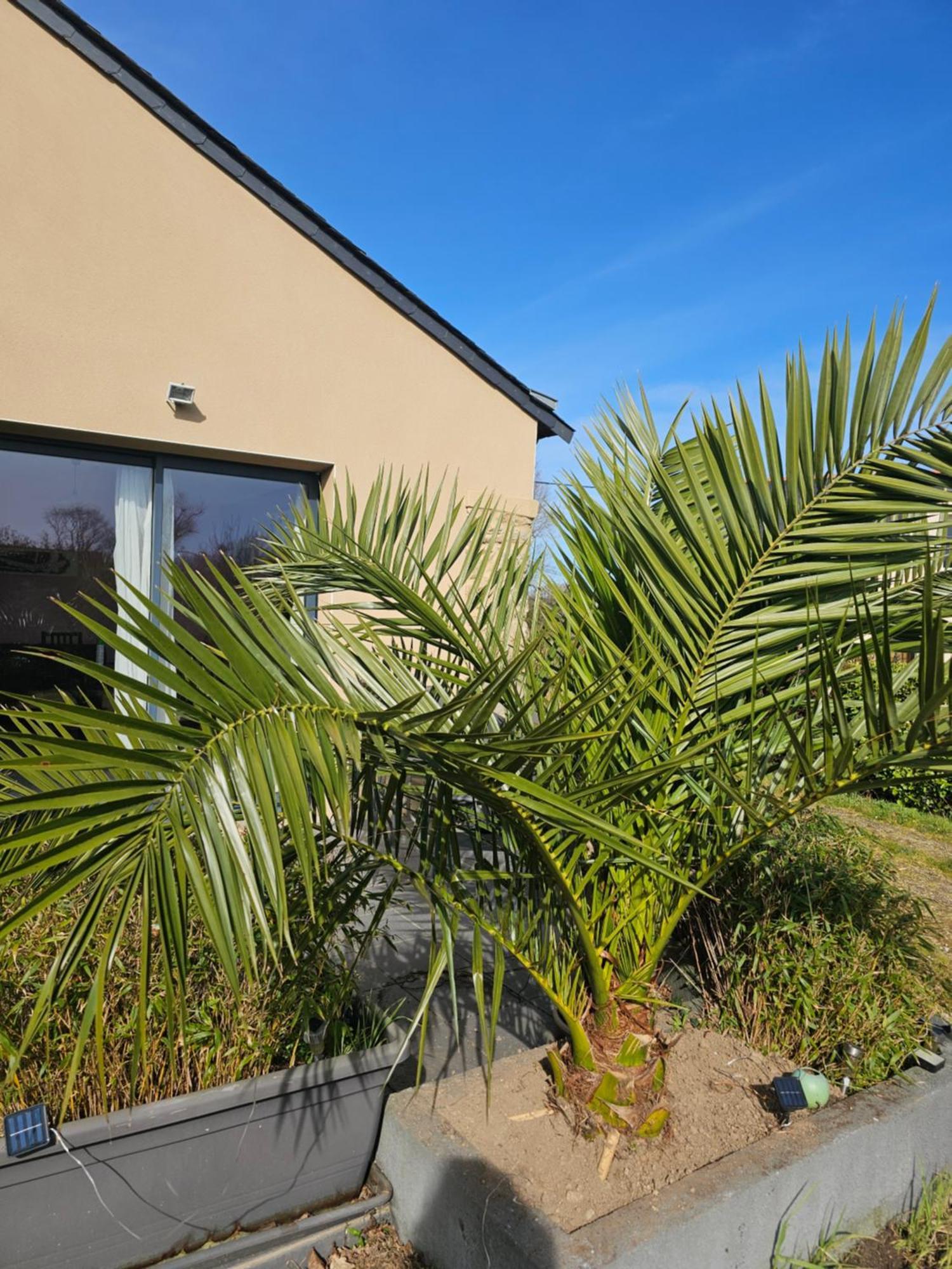Gite Camaloth - Closeries Du Golfe Theix Exterior photo